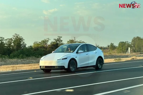 নতুন কম দামের টেসলা গাড়িগুলি প্রভাবিত করতে ব্যর্থ হয়েছে, শেয়ারের দাম কমেছে